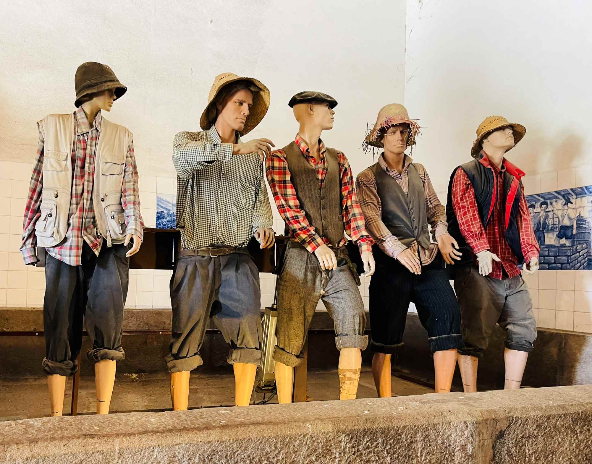 Cos’s Travel Guide